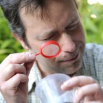 The Science of Tea: A close look at the leaves