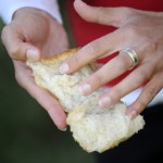Science of Bread and Cheese: Inspecting bread