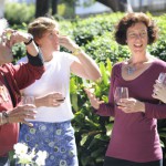 Fermented Favorites: Flavor without the nose?